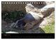 Thumbnail-10