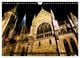 Thumbnail-14
