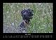 Thumbnail-9