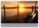 Thumbnail-11