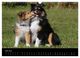 Thumbnail-11