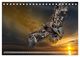 Thumbnail-11