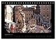 Thumbnail-14