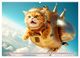 Thumbnail-8
