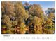 Thumbnail-12