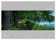Thumbnail-11