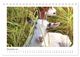 Thumbnail-13