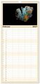 Thumbnail-13