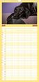 Thumbnail-11