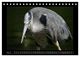 Thumbnail-10