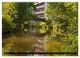 Thumbnail-10