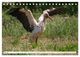 Thumbnail-9