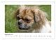 Thumbnail-11