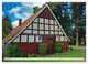 Thumbnail-11