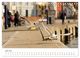 Thumbnail-8