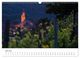 Thumbnail-11