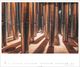 Thumbnail-9