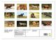 Thumbnail-4