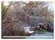 Thumbnail-14