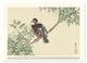 Thumbnail-11