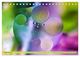 Thumbnail-14
