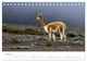 Thumbnail-9