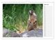 Thumbnail-11