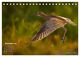 Thumbnail-14