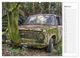 Thumbnail-8