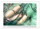 Thumbnail-10