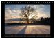 Thumbnail-14