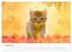 Thumbnail-12