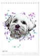 Thumbnail-9