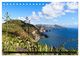 Thumbnail-9