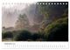 Thumbnail-11