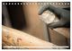 Thumbnail-10