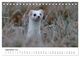 Thumbnail-14