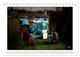 Thumbnail-11