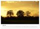 Thumbnail-11