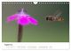 Thumbnail-13