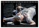 Thumbnail-9