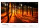 Thumbnail-12