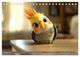 Thumbnail-13