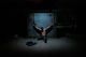 Thumbnail-2
