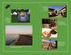 Thumbnail-11