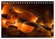 Thumbnail-14
