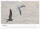 Thumbnail-10