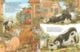 Thumbnail-4