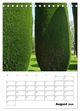 Thumbnail-13