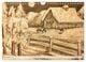 Thumbnail-14